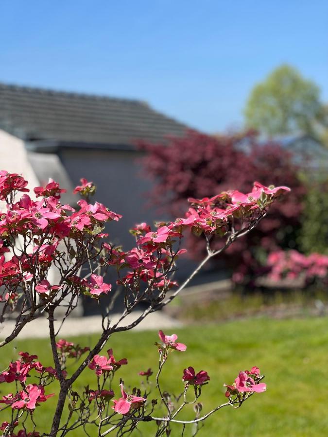 Bed and Breakfast Ikigai Oud-Turnhout Exterior foto