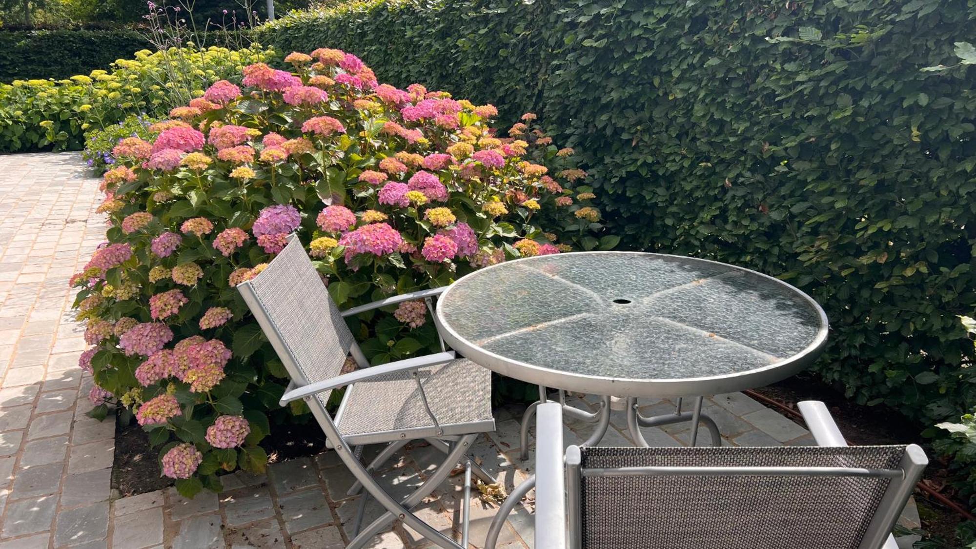 Bed and Breakfast Ikigai Oud-Turnhout Exterior foto
